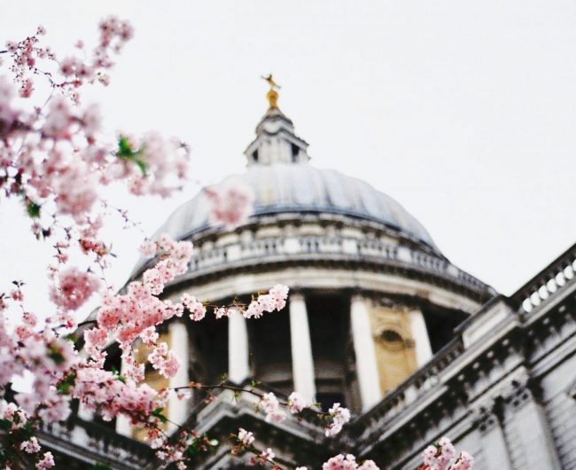 For Kate_Private tours thumnail image